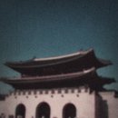 시네마비디오 | 후지 비디오 촬영 즉석 카메라 추천 인스탁스 미니에보 시네마 후기