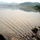 낙동강장어 이미지