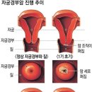 경부환경 이미지