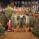 경북 성주 크리스마스 트리 카페 가볼만한곳 리베볼 크리스마스 페스티벌 예약 후기