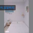 어,달달하리 이미지