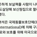 누렁이농장 Daum카페