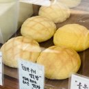 데이지민