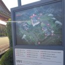 [시민제안강좌]  차와 문화 | 서울 나들이장소 성북동 삼청각 한옥 풍경 셔틀버스 방문후기