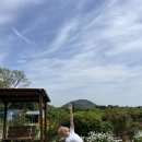 동길주유소 | 게하스텝 첫 휴무날, 소소하고 아기자기한 행복한 제주 종달리 마을 혼여행 🦋🩵 (+ 종달리 여행 추천...