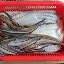 동진돌장어구이