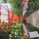 영흥수목원 전시온실 이미지