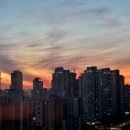 행정사김영사무소 이미지