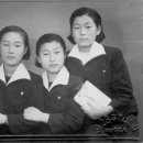 쉘브르7080 네이버블로그