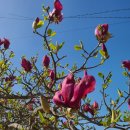 (주)에스디소프트 이미지