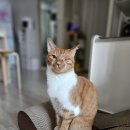 한벌태권도장 이미지