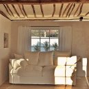 스테이 띠앗 이미지