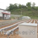 구조라별장
