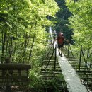 알프스비치 이미지