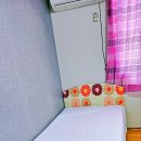 세븐일레븐 세종홍대원룸점 | 조치원 신안리 원룸 월세 임대 홍익대 홍대 세종캠퍼스 대학가 자취