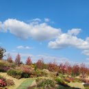 순천만국가정원 이미지