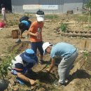 소양시민협동조합 이미지