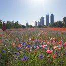 태화강펜션 이미지