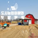 평택시농업기술센터 북부 농기계임대사업소 | 오성면 도시농업전문가교육 도시농업이해와 텃밭활동