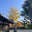 허균생가터
주차장 | 강원도 강릉 허균.허난설헌 생가터(기념공원) 방문기. 주차 정보. 강릉역에서 가는 법. 강릉 가볼 만한 곳.