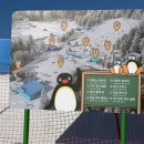 휘닉스중앙평창 유스호스텔 | 평창여행 | 휘닉스파크 스노우빌리지 푸드코트 위치 &amp; 메뉴 총정리! 스키하우스 라운지 비교 후기