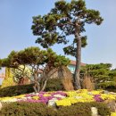 영암기찬랜드 이미지