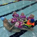 김해어린이집 이미지