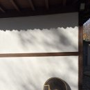 금산애견용품
