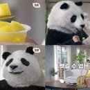 스낵코리아