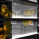 플라스틱 신화들 이미지