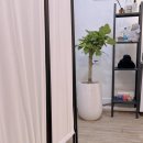 리음필라테스 | 의정부역필라테스 리음필라테스 레슨 후기