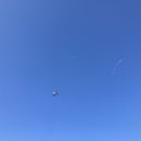 신정호국민관광지 이미지