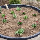 부곡2리경로당 이미지