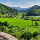 개야농장 이미지