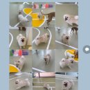 헬로우버디 분당점 이미지