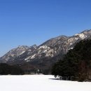 포천얼음