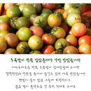 대저 짭짤이 토마토 5kg 무료배송 이미지