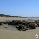 삼봉해수욕장 Daum카페