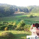 두란농장 이미지