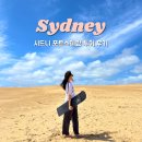 별빛사냥 | 호주 시드니 여행 포트스테판 투어 돌고래 후기 + 할인쿠폰