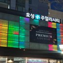 G1 | W. 다미아니 벨에포크 가드링 종로 G1다이아몬드 계약 후기!!