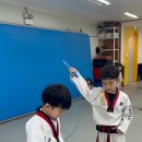 용인대석사명품태권도 이미지