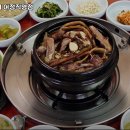 감골오리 이미지