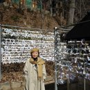 장경사 - 1167 | 장경사