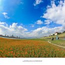 강변체육공원 이미지