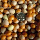 돼지은행 이미지