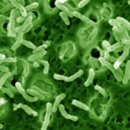 미래병원 이미지