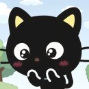 복복복 | AHOF 아홉 복복복 DAY 후기(스티븐, 박한, 즈언)