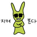 BBQ대구
