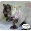 그루밍스토리 이미지